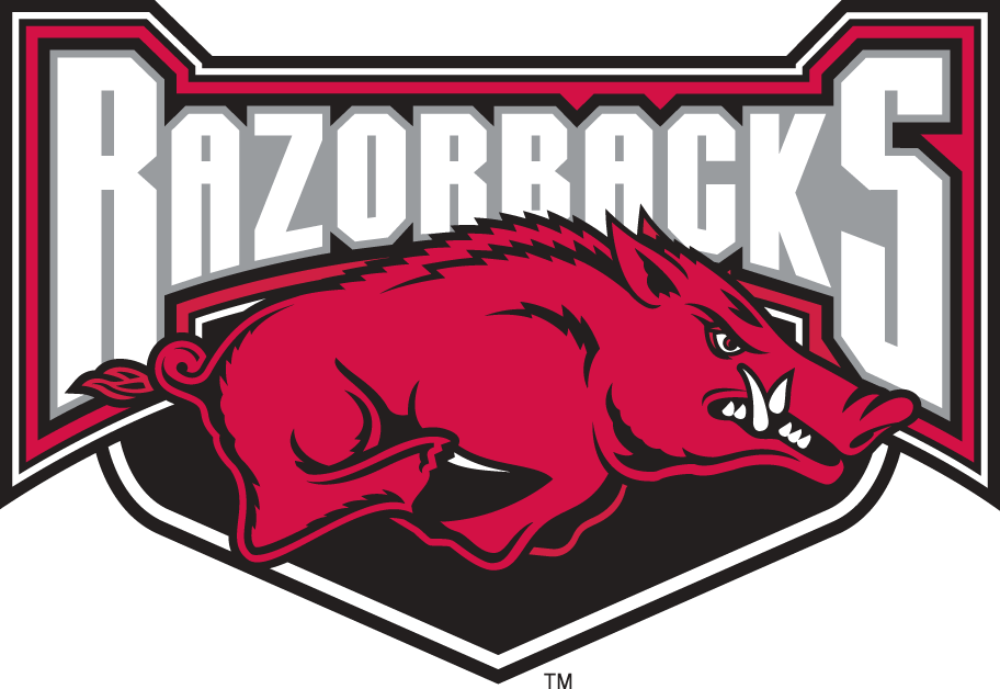 Arkansas Razorbacks 2001-2008 Alternate Logo v2 iron on transfers for T-shirts